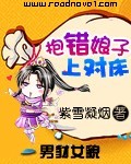 抱错娘子进对房封面