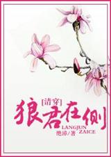 狼君在侧(清穿)封面