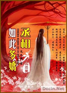 丞相如此多娇封面
