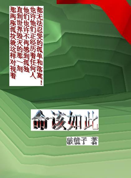 命该如此封面
