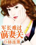 军长难过前妻关封面