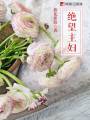 绝望主妇封面