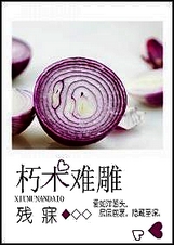 朽木难雕封面