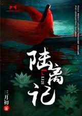 陆离记封面