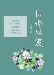 因婚成爱封面
