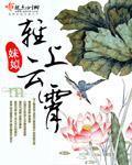 轻上云霄封面