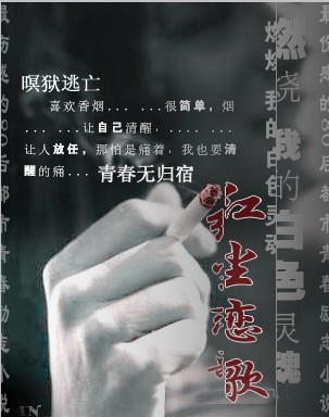 青春无归宿:红尘恋歌封面