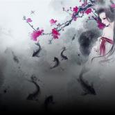 ��������Ҳ����