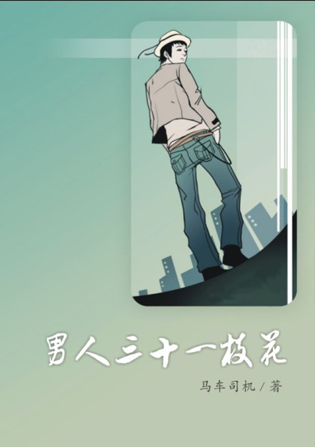 中国版欲望都市:男人三十一枝花封面