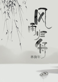 风雨归舟封面