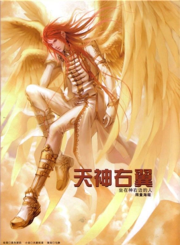 天神右翼2原罪(耽美)封面