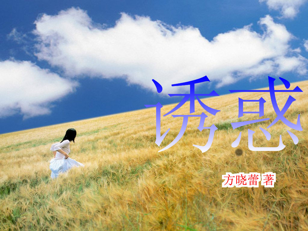 随风而不去封面
