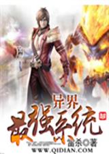 �����ǿϵͳ