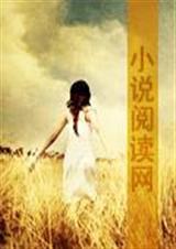 夏目友人帐之若只如初封面