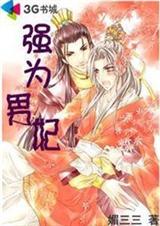 强为男妃封面