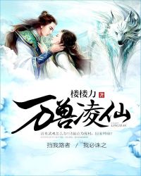 万兽凌仙封面