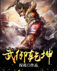 武御乾坤封面