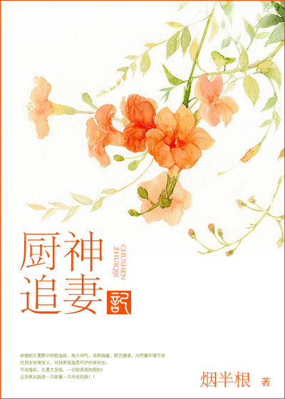 厨神追妻记封面
