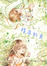 错落的爱封面