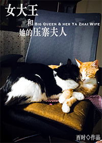 女大王和她的压寨夫人封面