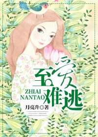 至爱难逃封面