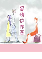 爱情这东西封面