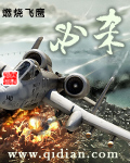 必杀:援朝空战英雄传封面