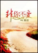 非你不爱(双高干)封面