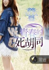 青春的死胡同封面