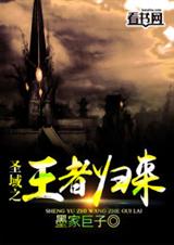 圣域之王者归来封面