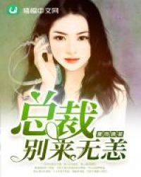 总裁,别来无恙封面