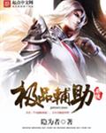 极品辅助系统封面