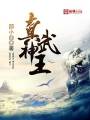真武神王封面