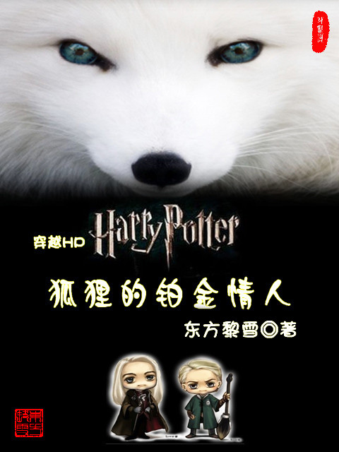 HP狐狸的铂金情人封面