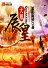 天幕辰皇封面