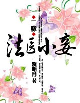 二嫁:法医小妾封面
