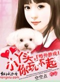 婚外游戏:小丫头,你玩不起封面