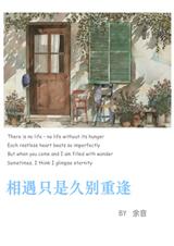 相遇只是久别重逢封面