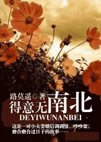 得意无南北封面