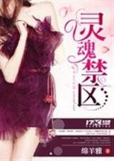 灵魂禁区封面