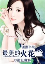 最美的火花兰封面
