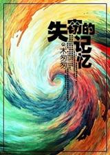 失窃的记忆封面