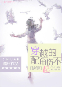 穿越的配角伤不起封面