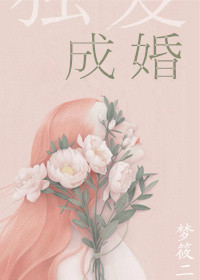 独宠成婚封面