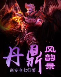 丹鼎风韵录封面