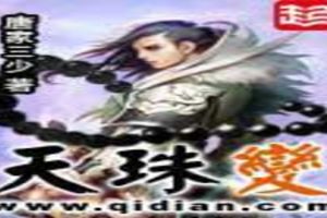 天珠变封面