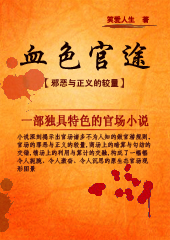 官大一级封面