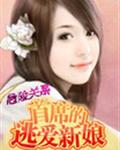 危险关系:首席的逃爱新娘封面