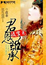 慑宫之君恩难承封面