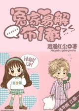 冤家易解布一截封面